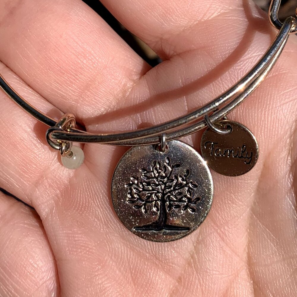 FIRM PRICE 6pc Bangle Assorted Bracelets - Picture 13 of 16